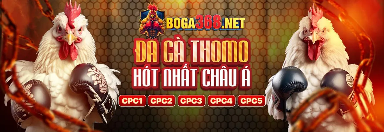 Đá gà trực tiếp kịch tính tại 777x bet