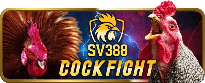 VIP Kim Cương